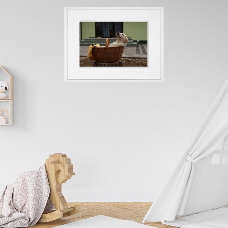 Dog Relaxing in a Basket Framed Poster Print for Kid's Room