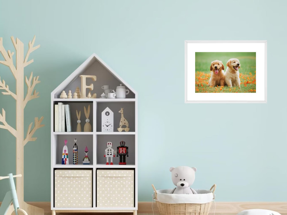 Golden Retriever Puppies Framed Poster Wall Print for Kids Room