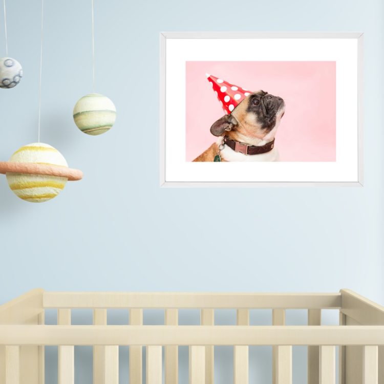 I Want to Go to the Party, Pug Dog with Party Hat Framed Wall Art2