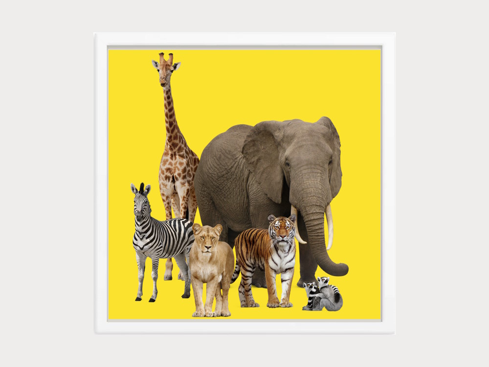 Safari Wildlife Animals Framed Wall Art Poster | Melbourne